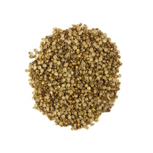 CORIANDER SEEDS